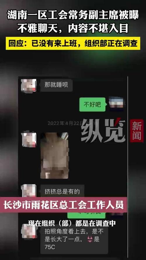 湖南女干部聊天爆料视频,揭秘官场内幕与权力博弈