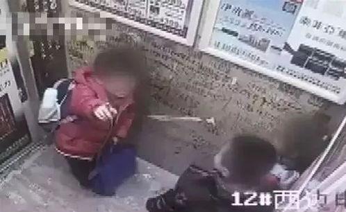 女学生被男生强吻视频,女学生遭遇强吻事件引发社会关注