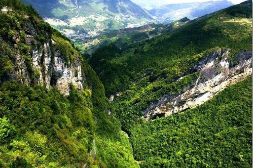 重庆奉节县爆料新闻事件,真相与影响深度解析