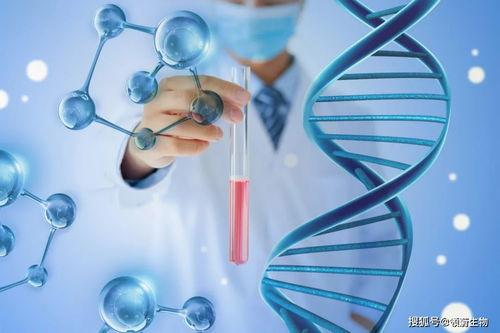 爆料癌症治疗案例视频播放,视频案例展现治愈希望