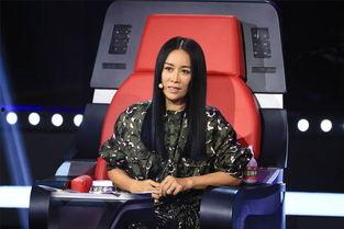 那英最新爆料视频,独家爆料背后的故事与感悟