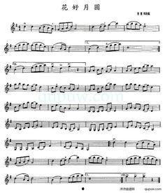 老公溅钱老婆花伴奏