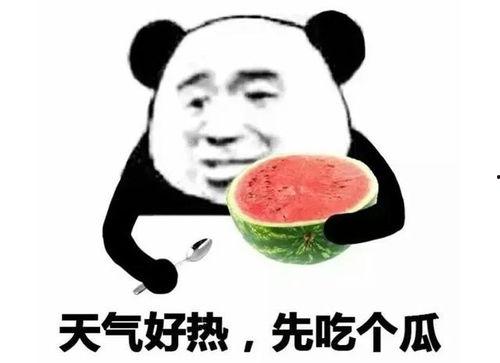 吃瓜比赛表情包图片,吃瓜比赛表情包盘点，笑料百出！